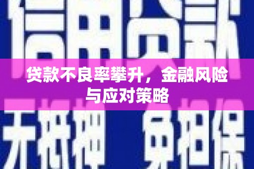 洋县贷款不良率攀升，金融风险与应对策略