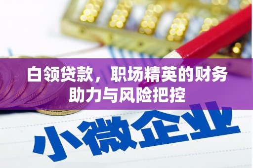 洋县白领贷款，职场精英的财务助力与风险把控