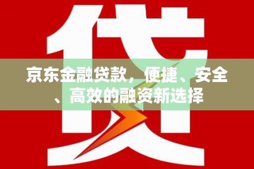 洋县京东金融贷款，便捷、安全、高效的融资新选择