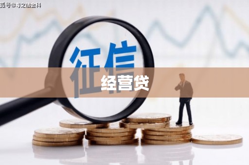 洋县经营贷