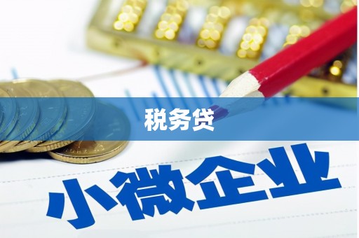 洋县税务贷