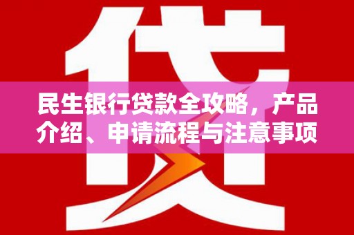 洋县民生银行贷款全攻略，产品介绍、申请流程与注意事项
