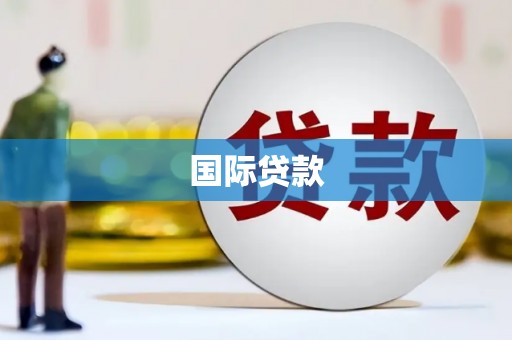 洋县国际贷款